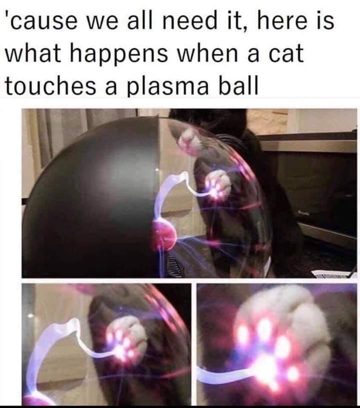 Cat plasma ball meme paw