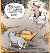 Funny cat cartoon genie meme