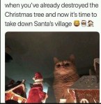 Christmas cat meme funny santas village