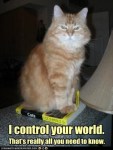 Funny captions cats meme