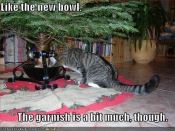 Cat drinking from christmas tree funny meme