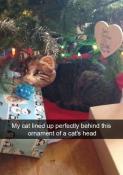 Cat funny christmas snapchat