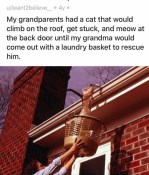 Cat needs help getting down off roof meme