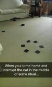 Cat ritual meme spooky