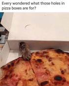 Cat stealing pizza meme with paws