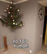 Cats trying to get xmas tree funny meme