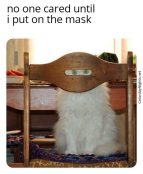 Creepy cat staring through objects meme