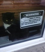 Funny cat meme sign
