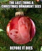 Funny cat xmas tree meme