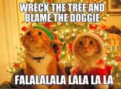 Funny cats in christmas hats meme