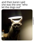 Funny yet spooky cat memes