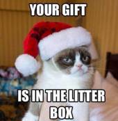 Grumpy cat xmas meme
