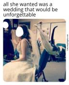 Hillarious meme cat being naughty