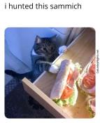 Kitty cat steals sandwich meme
