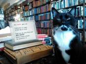 Moustache cat looks annoyed funny sign