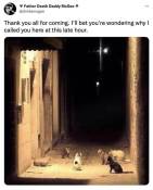 Secret cat meeting meme night