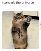 Cat bubble controls the universe meme