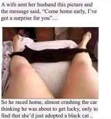 Funny look closer cat meme