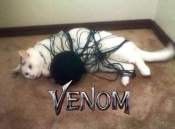 Cat ball of string venom meme captions