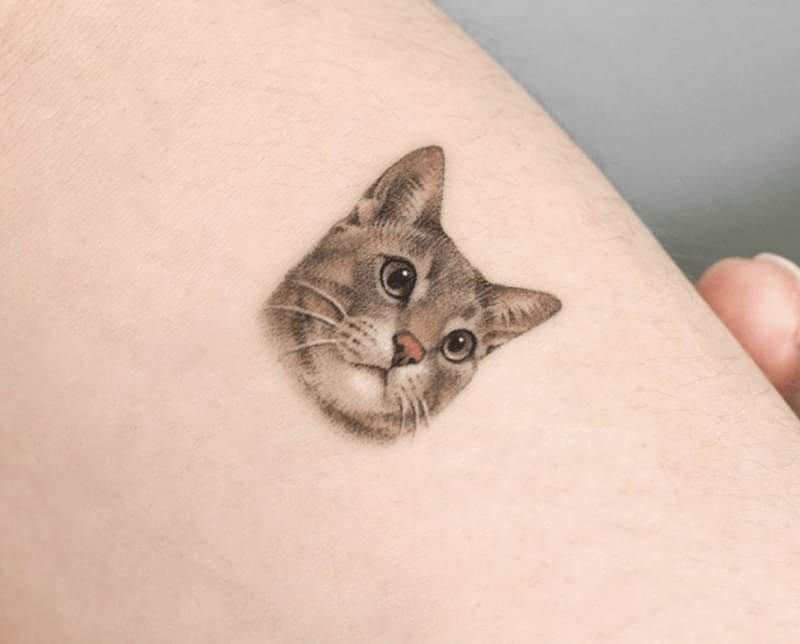 Lifelike cat tattoo design small