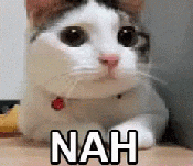 Cat shaking its head nah animated gif meme