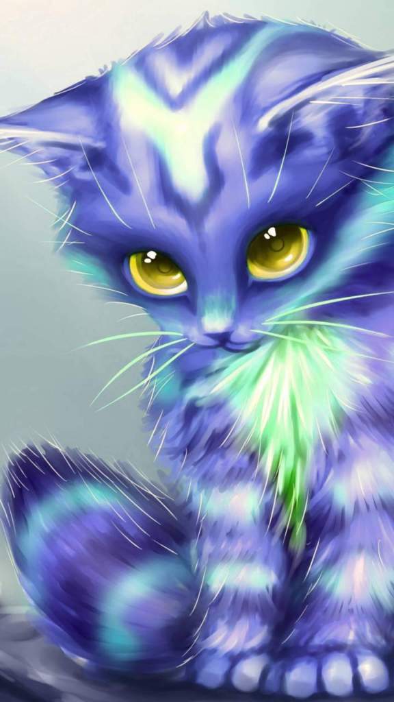 artistic blue cat mobile phone wallpaper 1440x2560