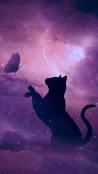 pink purple cat and butterfly qhd mobile wallpaper 1440x2560